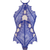 V-9600 body blue