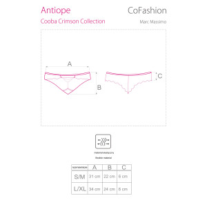 CF Antiope panty rot